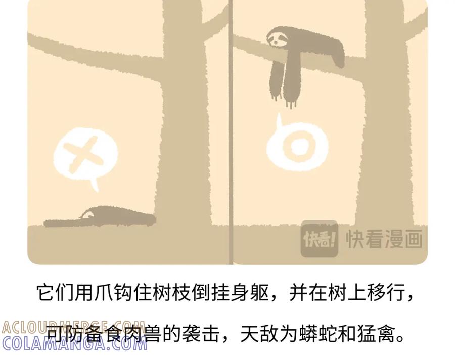 《胖达x胖达》第212话 第25页