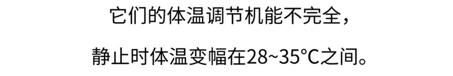 《胖达x胖达》第212话 第20页