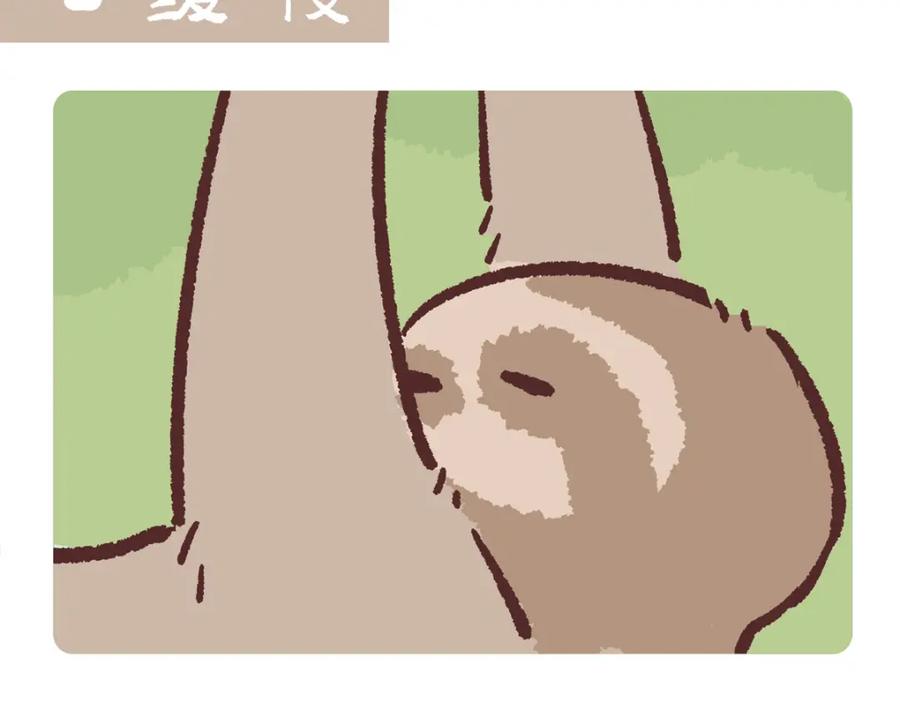 《胖达x胖达》第212话 第12页