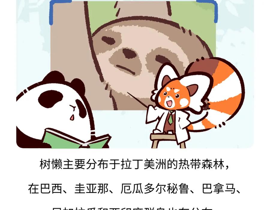 《胖达x胖达》第212话 第18页