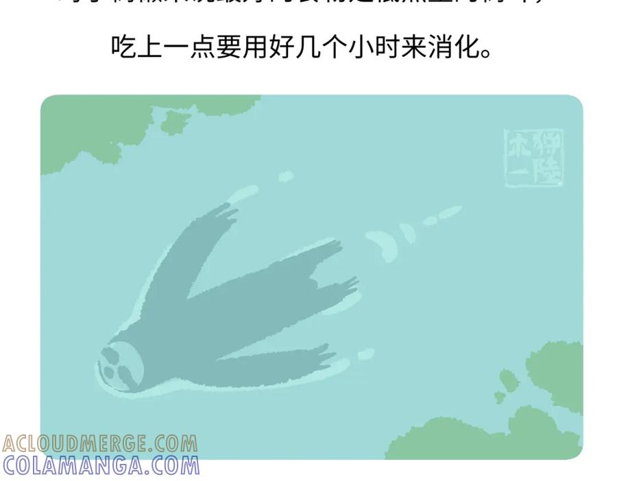 《胖达x胖达》第213话 第23页
