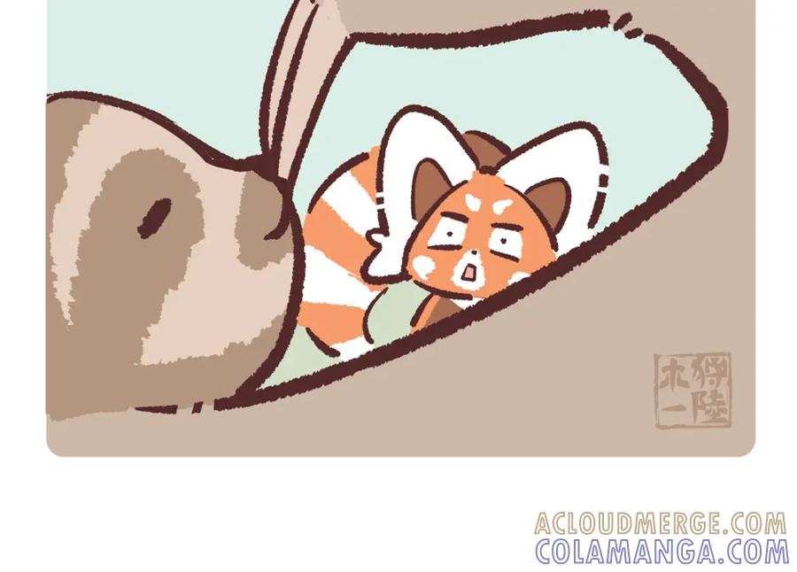 《胖达x胖达》第213话 第17页