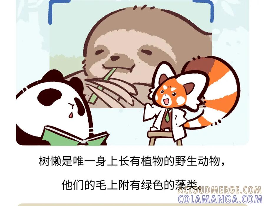 《胖达x胖达》第213话 第19页