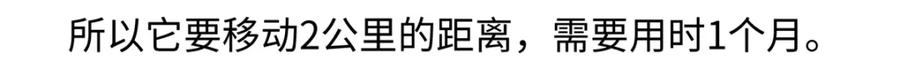 《胖达x胖达》第213话 第21页