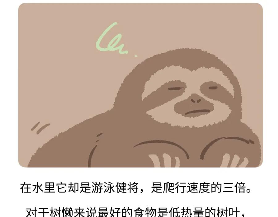 《胖达x胖达》第213话 第22页