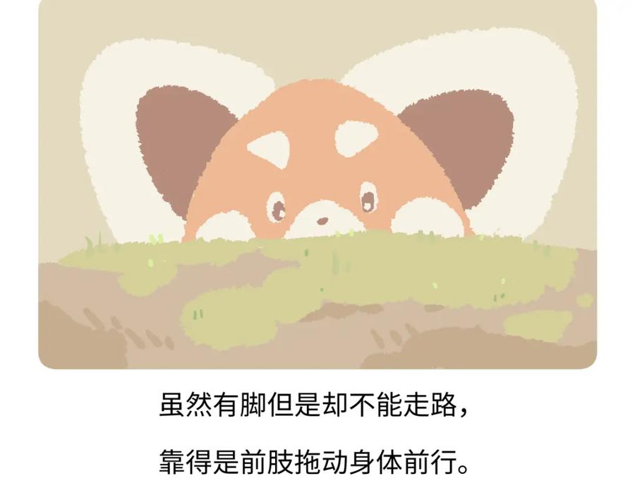 《胖达x胖达》第213话 第20页