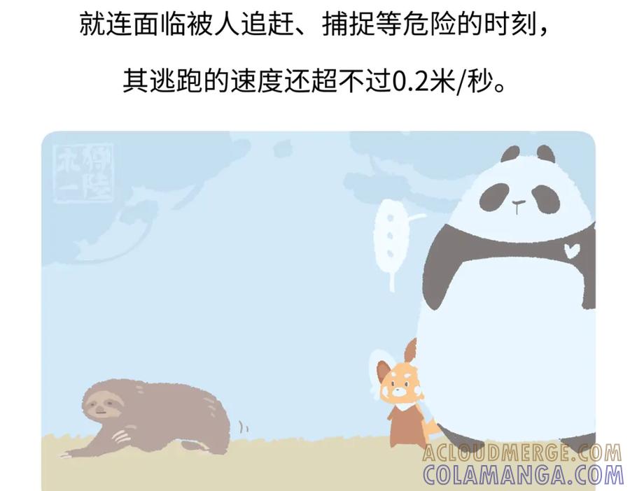 《胖达x胖达》第213话 第29页
