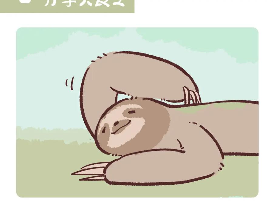 《胖达x胖达》第214话 第2页