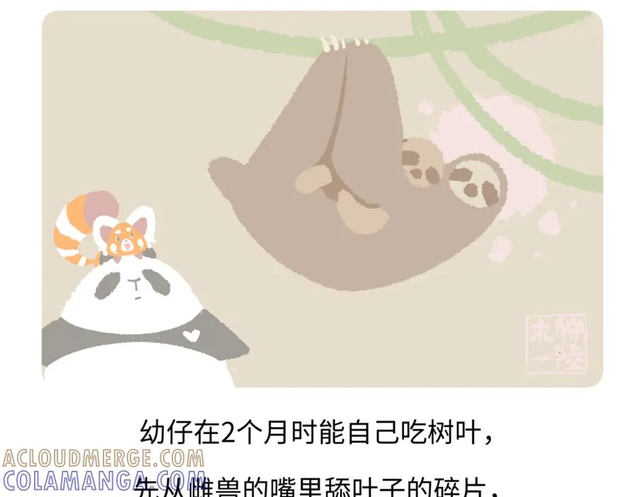 《胖达x胖达》第214话 第21页