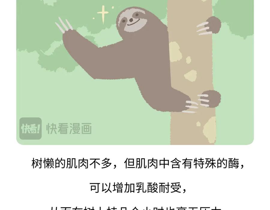 《胖达x胖达》第214话 第26页