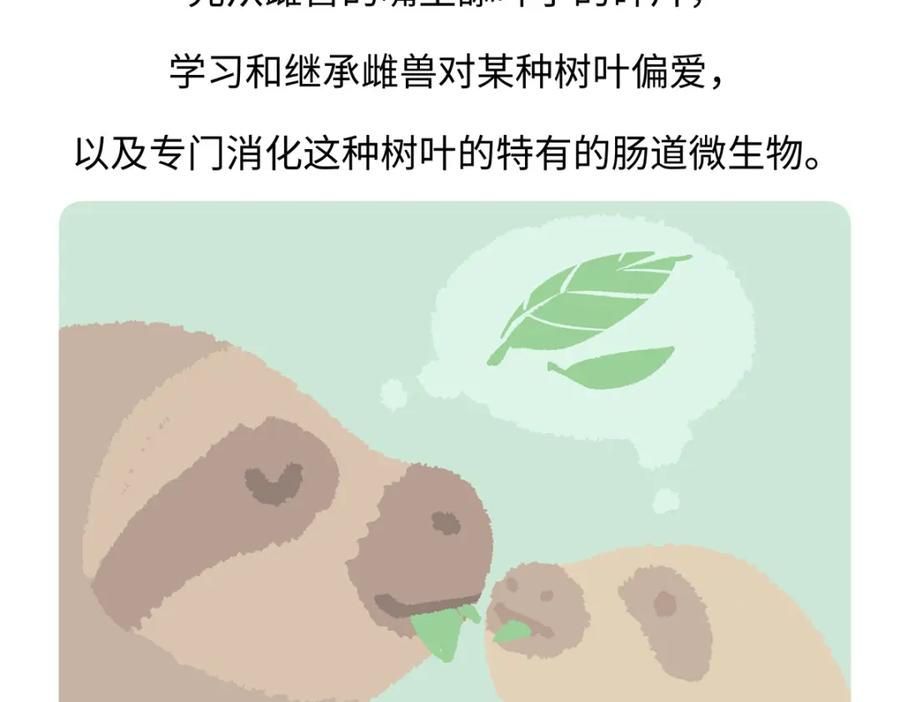 《胖达x胖达》第214话 第22页