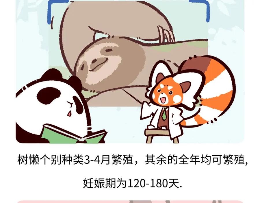 《胖达x胖达》第214话 第18页
