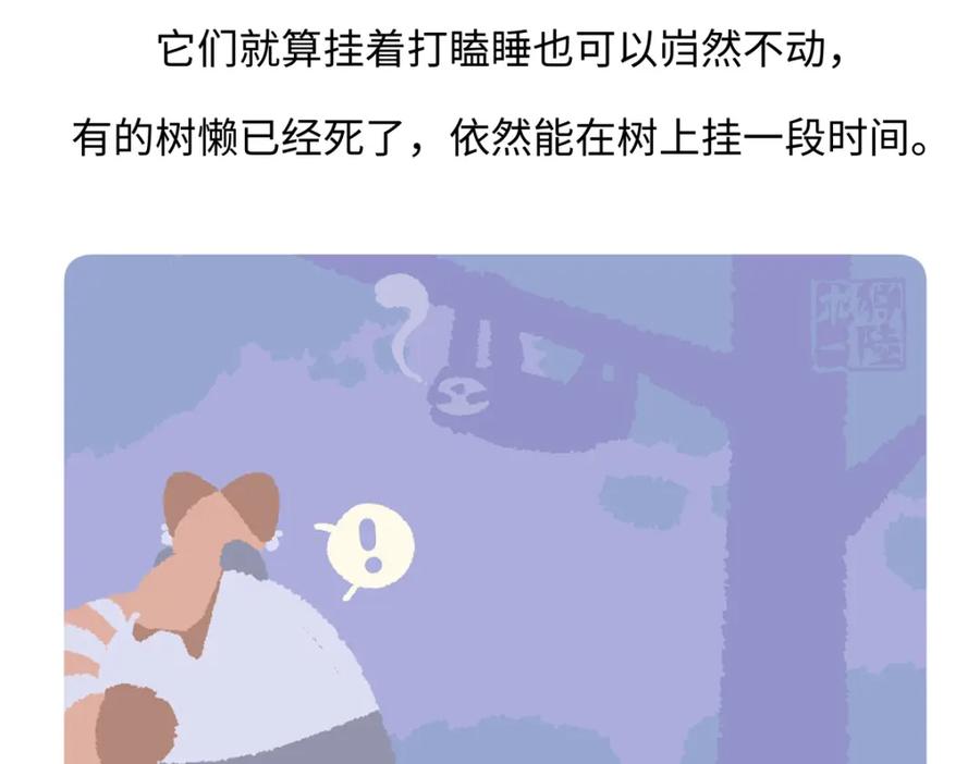 《胖达x胖达》第214话 第28页