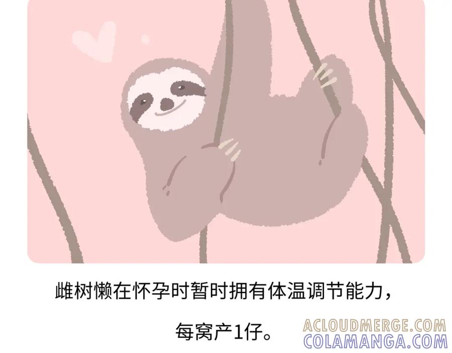 《胖达x胖达》第214话 第19页
