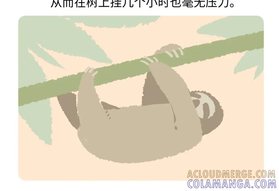 《胖达x胖达》第214话 第27页