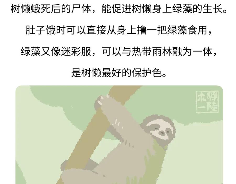 《胖达x胖达》第215话 第30页