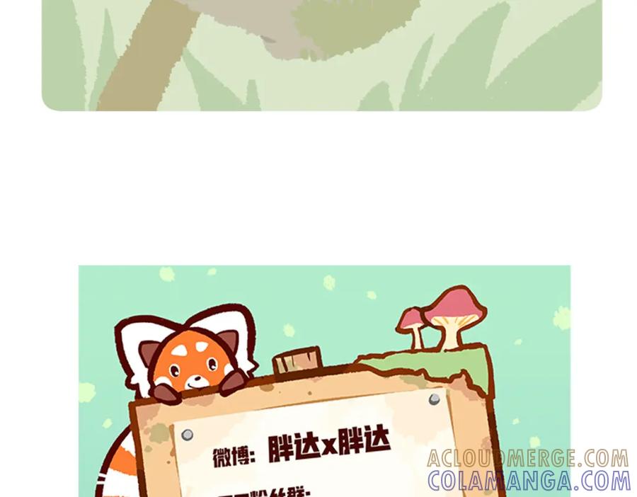《胖达x胖达》第215话 第31页