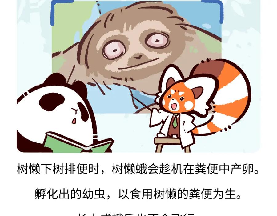 《胖达x胖达》第215话 第26页