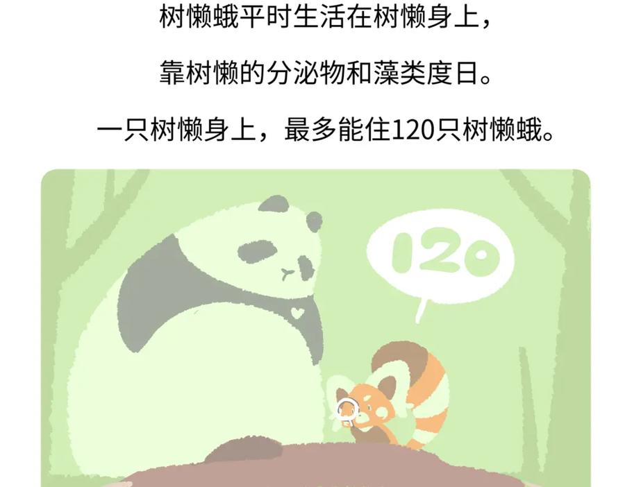 《胖达x胖达》第215话 第28页
