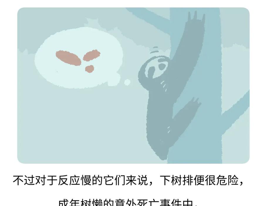《胖达x胖达》第215话 第22页