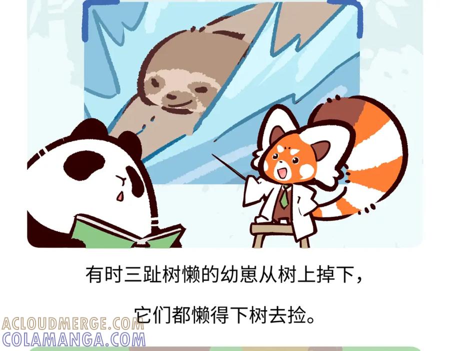 《胖达x胖达》第215话 第19页