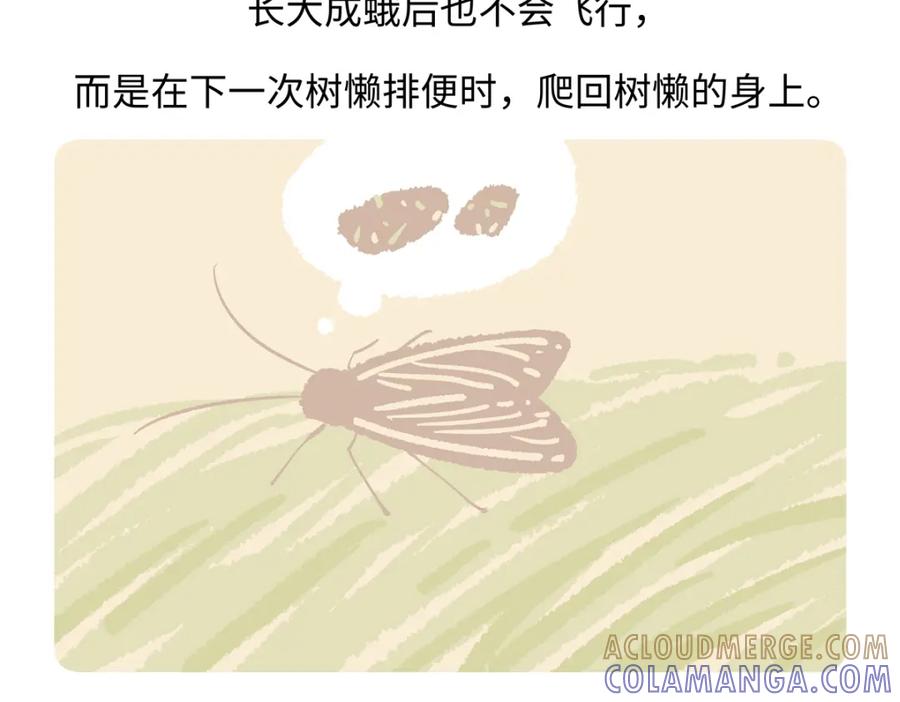 《胖达x胖达》第215话 第27页