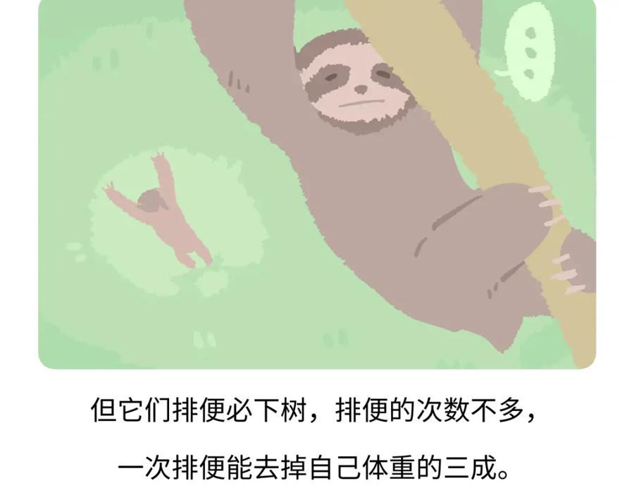 《胖达x胖达》第215话 第20页