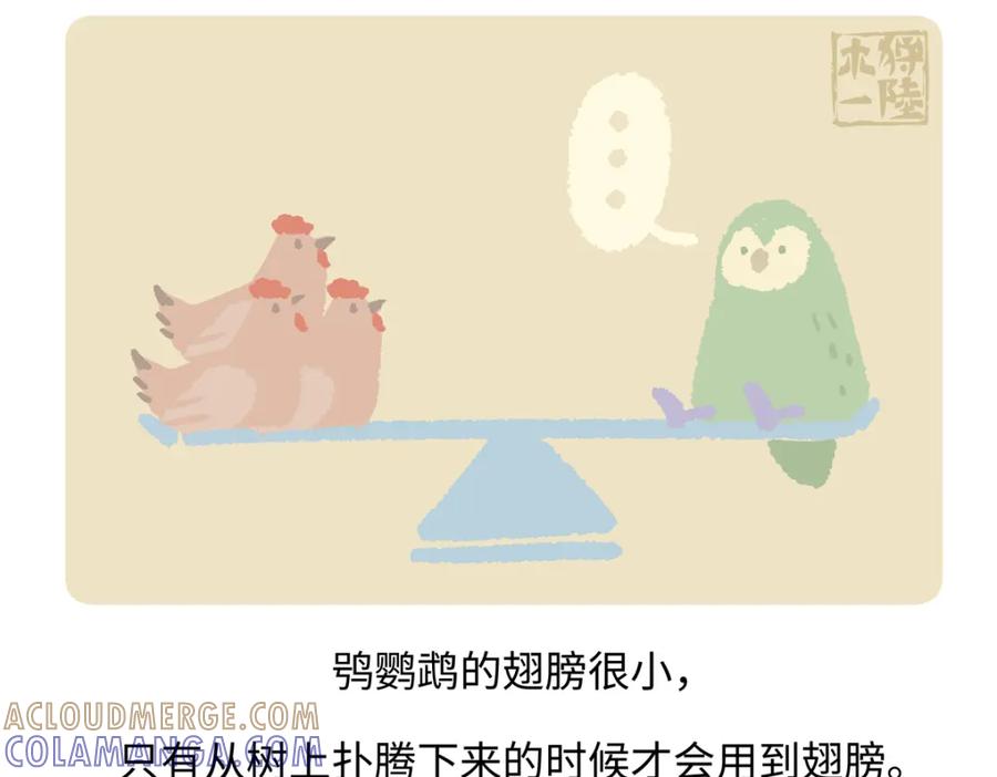 《胖达x胖达》第216话 第19页