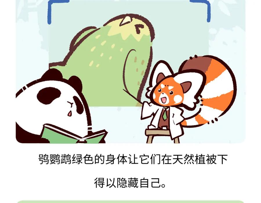 《胖达x胖达》第216话 第22页