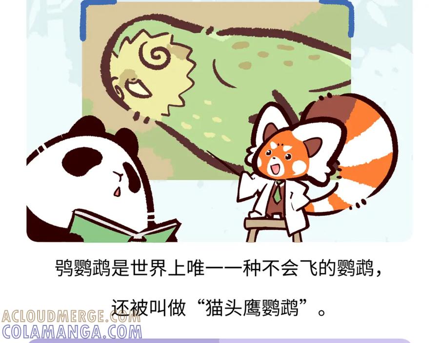 《胖达x胖达》第216话 第17页