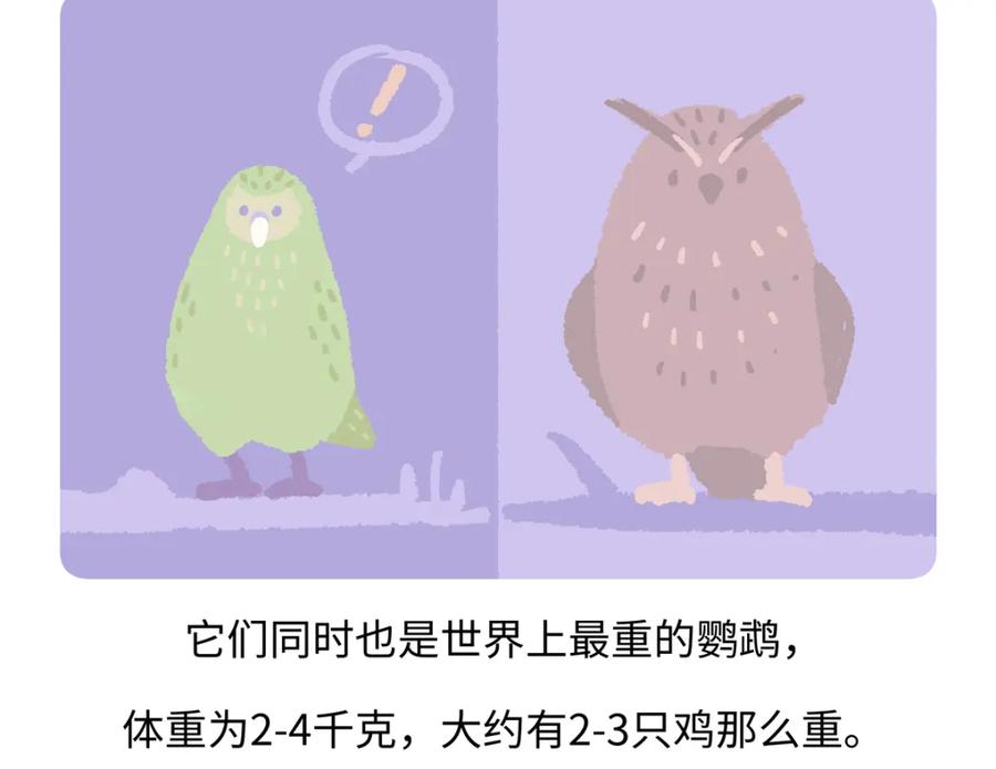 《胖达x胖达》第216话 第18页