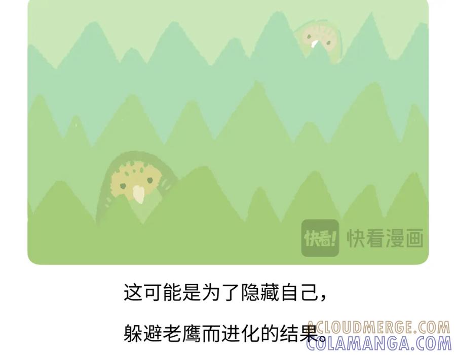 《胖达x胖达》第216话 第23页