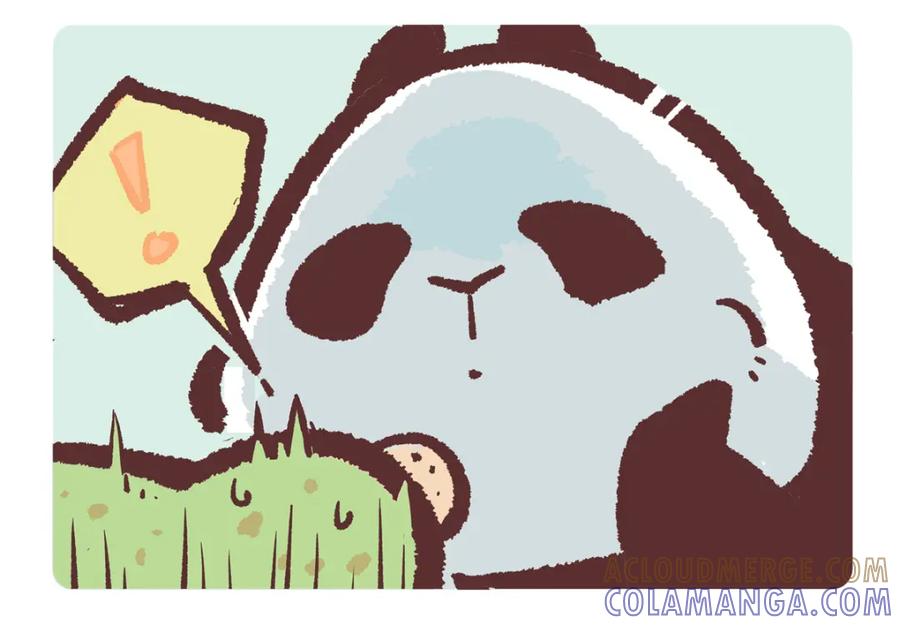 《胖达x胖达》第217话 第3页