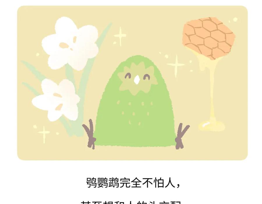 《胖达x胖达》第217话 第20页