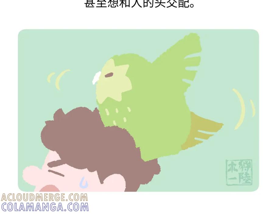 《胖达x胖达》第217话 第21页