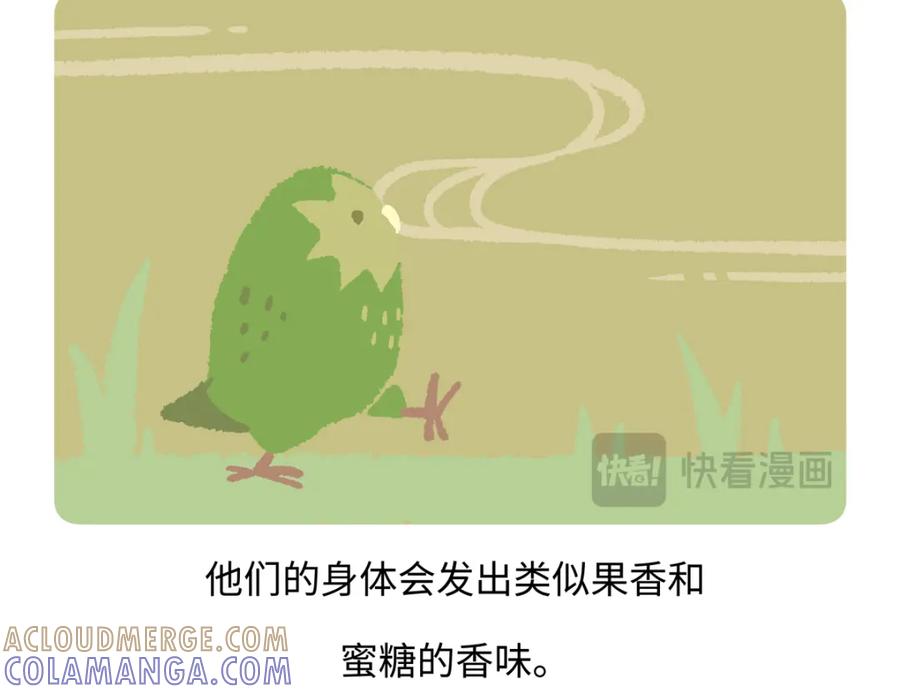 《胖达x胖达》第217话 第19页