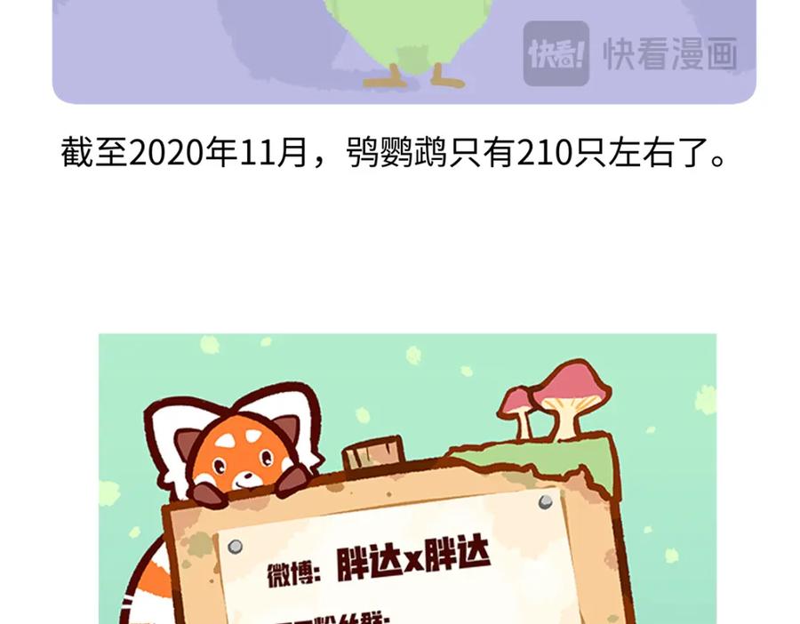 《胖达x胖达》第217话 第28页