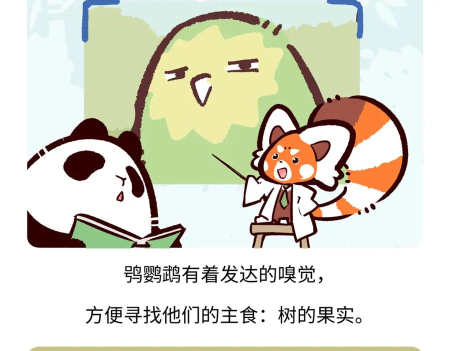 《胖达x胖达》第217话 第18页