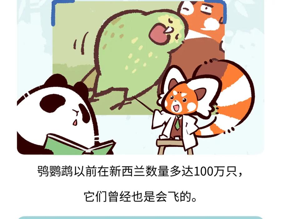 《胖达x胖达》第217话 第24页
