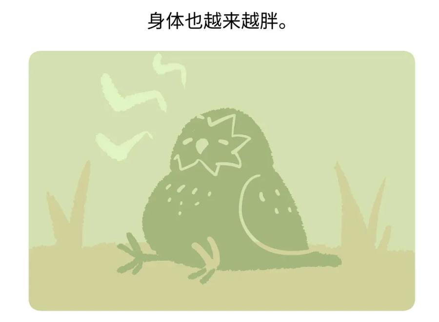 《胖达x胖达》第217话 第26页