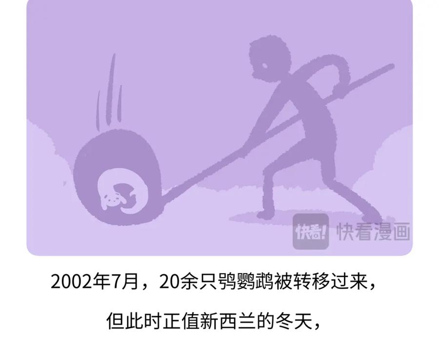 《胖达x胖达》第218话 第26页