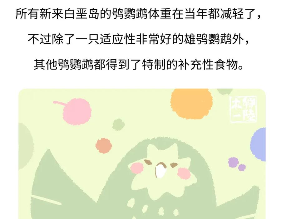《胖达x胖达》第218话 第28页