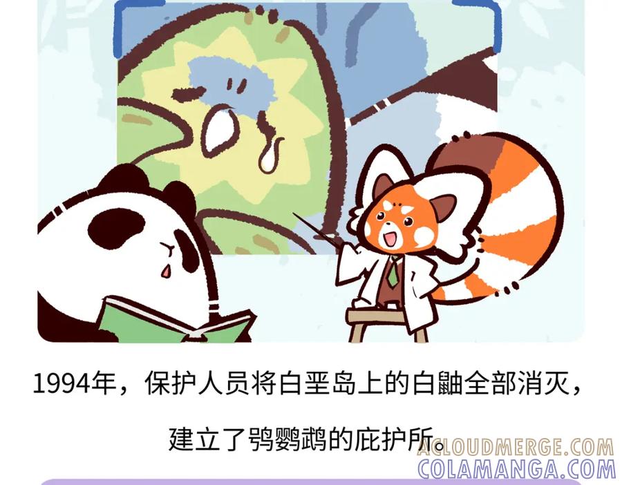 《胖达x胖达》第218话 第25页