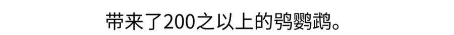 《胖达x胖达》第218话 第20页