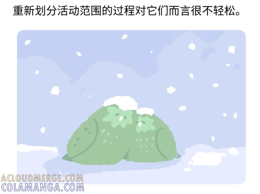 《胖达x胖达》第218话 第27页