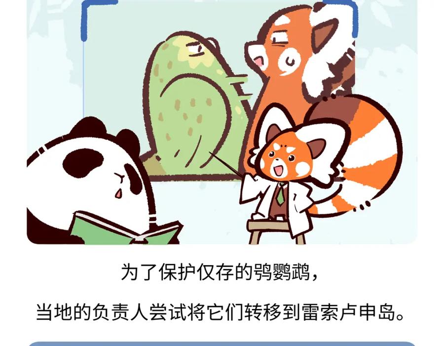 《胖达x胖达》第218话 第18页