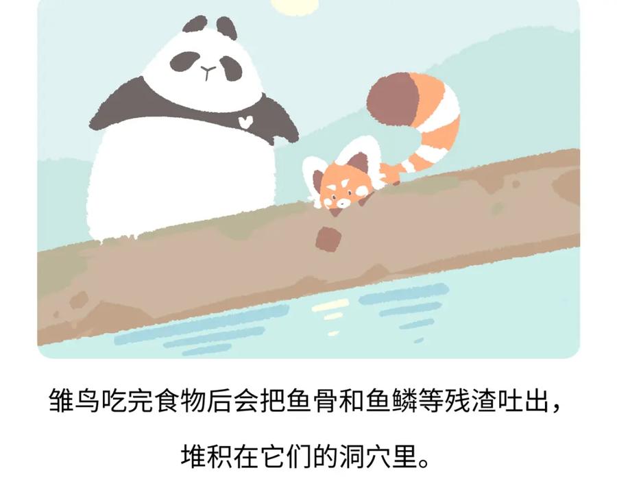 《胖达x胖达》第219话 第24页