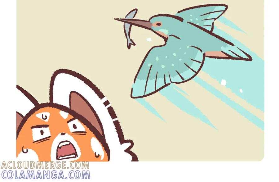 《胖达x胖达》第219话 第5页