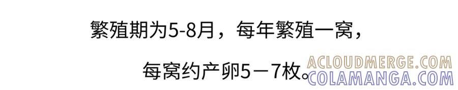 《胖达x胖达》第219话 第19页
