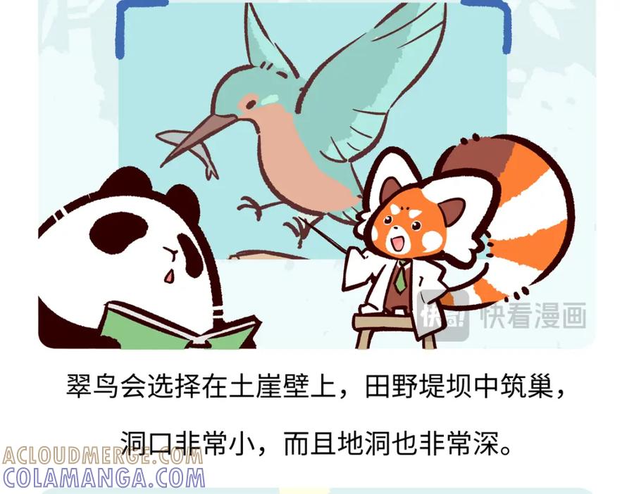 《胖达x胖达》第219话 第23页
